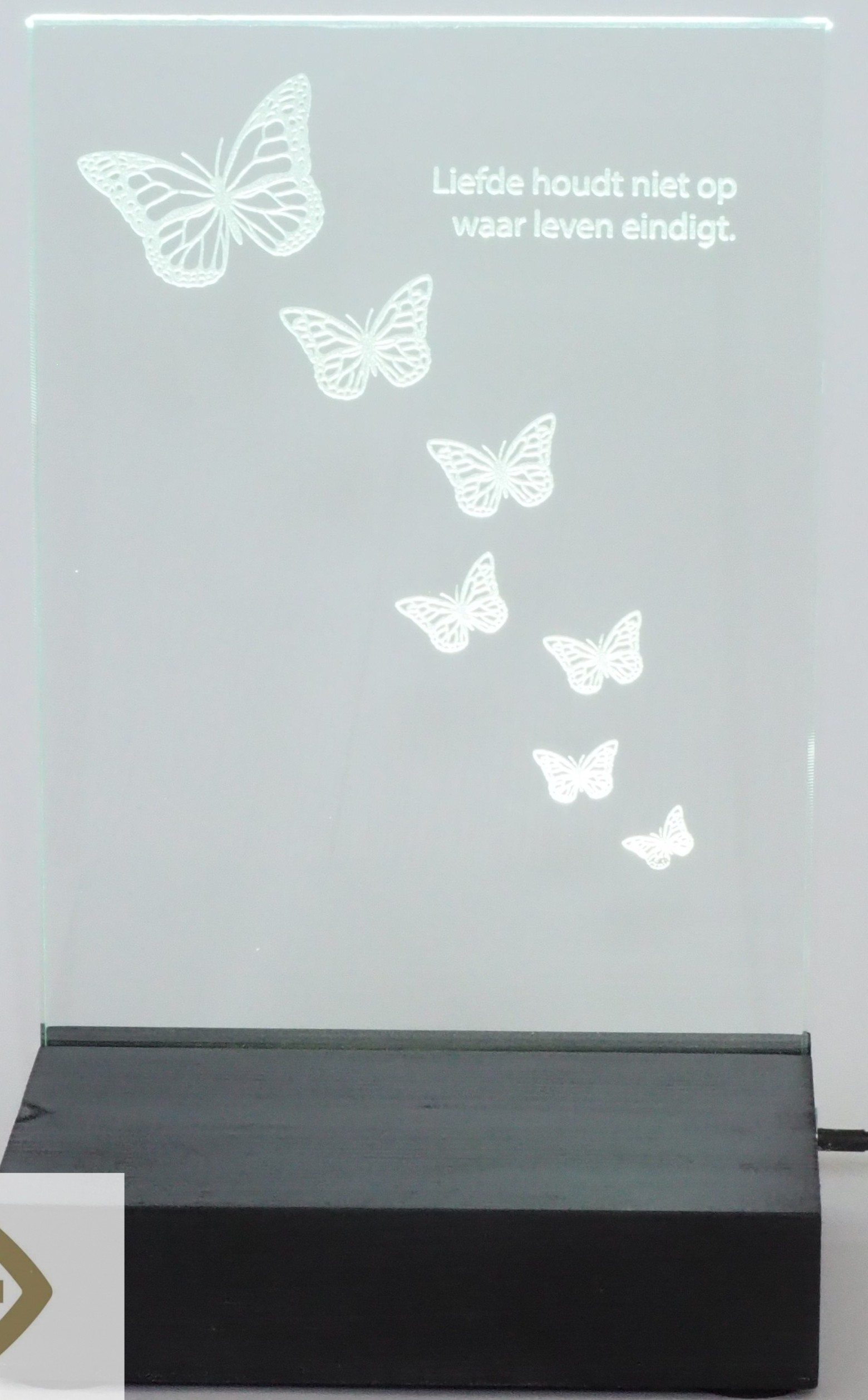 Lief lichtje Vlinders
